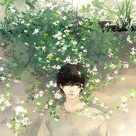 BaoBinh.Lavender