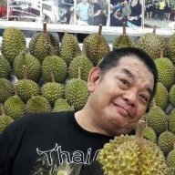 Trang